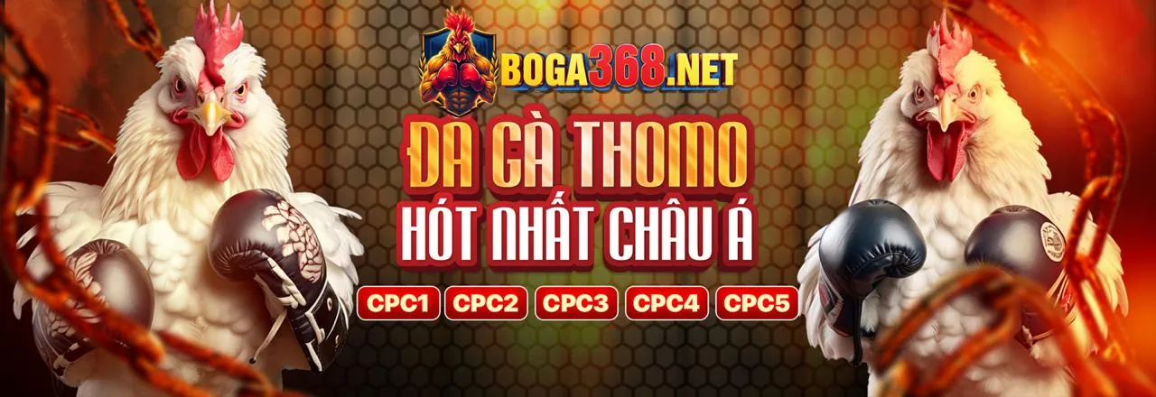Lý do chọn vvvwin88 khuyến mãi